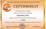 Сертификат Корниенко Я. история
